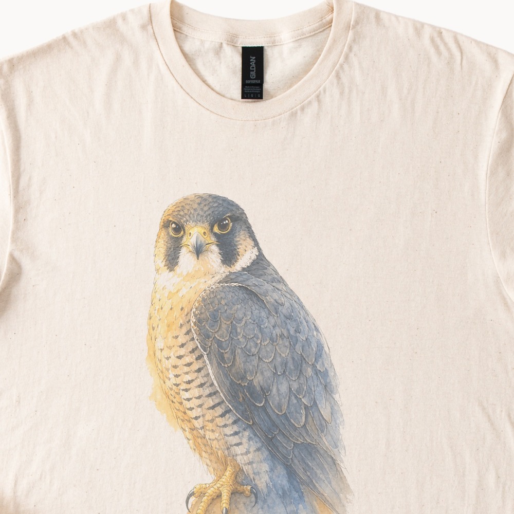 Peregrine Falcon Watercolor Feather Detail Tee - Picture 2 of 5
